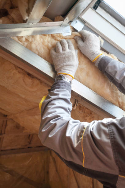 Best Insulation Contractor Near Me  in Seville, FL
